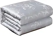 JSEIAJB Cotton Shell Silk Filling Quilt Winter Warm Duvet Comforter Blanket Bedspread(4.5kg)
