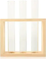 CAXUSD 1 Set Hydroponic Vase Wall Mounted Plant Propagation Station with Tubes for Decor for Flowers and Greenery Versatile Display for Office Garden