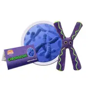 Giant Microbes Chromosone Microbe Plush Biology Soft Plush Cuddle Stuffed Toy