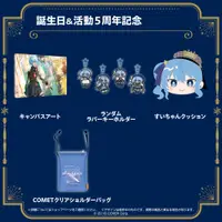 在飛比找蝦皮商城優惠-Hololive 現貨商品 星街すいせい 誕生日＆活動5周年