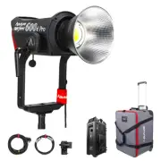 Aputure LS 600d Pro V-mount 600W Daylight-Balanced Poin (US Version)