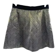 Narciso Rodriguez x Design Nation Istanbul Metallic A Line Skirt Women 12 NWT
