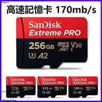 在飛比找Yahoo!奇摩拍賣優惠-臺灣公司貨  SanDisk 高速記憶卡 1TB 512G 