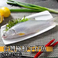 在飛比找momo購物網優惠-【鮮綠生活】台灣三去海水午仔魚(200-250g/尾 共7尾