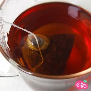 【沁意茶苑】日月潭紅玉茶包 茶 茶包 紅茶 台灣茶 分享日