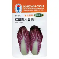 在飛比找蝦皮購物優惠-種子王國 紅山東大白菜(Chinese Cabbage) s