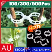 100-5000x Plant Tomato Clips Trellis Garden Vegetable Binder Twine Plant Support