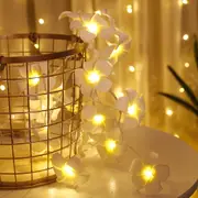 Solar Garden Lights 20LEDs 30LEDs Sloar String Light Lemon Decor Fairy String Lights
