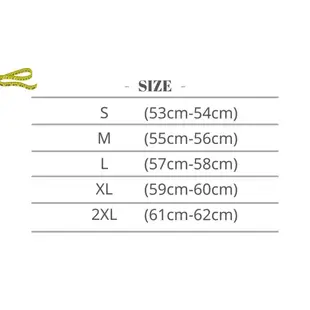 ZEUS 瑞獅 ZS-811 AL2 彩繪 輕量化 入門款 全罩式安全帽 ZS811【梅代安全帽】