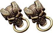 Angoily Leather Decorative Brass Skull Set DIY Jewelry Suitcase Clasp Replacement for Old Decorative Parts