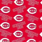 Handmade Placemat Or Table Runner Reds
