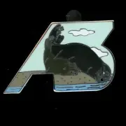A113 Finding Dory Mystery Disney Pin