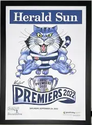2022 AFL GEELONG CATS PREMIERS MARK KNIGHT GRAND FINAL FRAMED MEMORABILIA