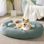 Arlee Orbit Orthopedic Memory Foam Dog Bed - Premium, Durable, Washable, and ...