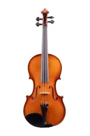 Marian Marcel Master Violin 4/4 – Reghin, Romania 2024