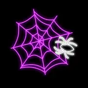 Christmas Complete Halloween Spider in Web Rope Light Motif 1m