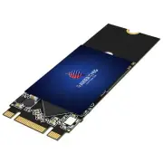 256GB M.2 2260 SATA III 6Gb/s SSD Internal High Performance Solid State Drive...