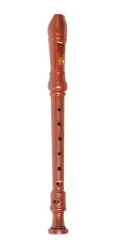 New Steinhoff 'Wood-Look' Recorder for Kids with Cleaning Rod and Pouch