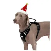 Dog Harness Adjustable Breathable Dog Harness with No Extra Large 524-Black