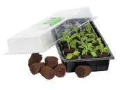 Jump Start 24 Grow Plug Mini Germination Station - JS24GP
