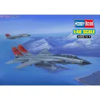 在飛比找蝦皮購物優惠-F-14d 超級雄貓飛機模型套件,帶 1 / 48 比例