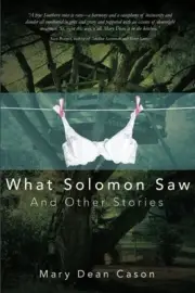 WHAT SOLOMON SAW AND OTHER STORIES By Mary Dean Cason **BRAND NEW**