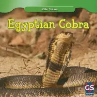 在飛比找博客來優惠-Egyptian Cobra