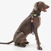 Maogou Blue Marshmallow Short Dog Leash Dark Blue