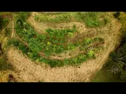 Workshop Food Forest Introduction Discovery Day