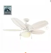HAMPTON BAY Palm Beach III 48 in. LED Indoor/Outdoor White Ceiling Fan w Light