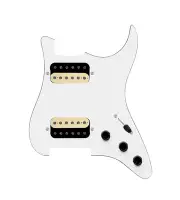 920D Custom Hot And Heavy HH Loaded Pickguard for Strat With Uncovered Roughn...