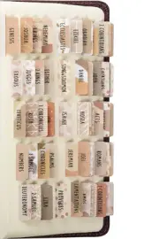 Laminated Bible Tabs (Large Print, Easy to Read), Bible Journaling Supplies, ...
