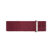 Daniel Wellington Classic 18 Roselyn Silver Watch Band