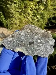 Meteorite: NWA 16792 - Weight 12.694 Grams- Carbonaceous Inclusions