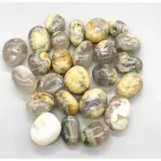 1 lb Opalized Petrified Wood tumbled stones