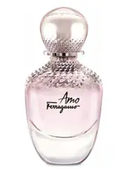 Salvator Ferragamo Amo Ferragamo EDP 100ml