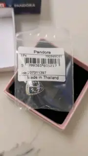 Pandora Authentic Marvel Guardians of the Galaxy Rocket Raccoon & Groot Charm