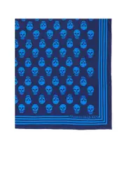Alexander Mcqueen Skull Print Silk Scarf