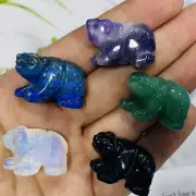 1"+ Natural Mixed material quartz bear skull hand carved reiki Healing 5PC