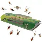 50 pcs Cockroach Trap Bait Sticky Traps Glue Pest Control Cockroaches Insect Bug