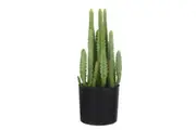Rogue Fairy Castle Cactus Pot