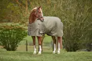 WeatherBeeta ComFiTec Essential Standard Neck Turnout Blanket (360g Heavy)