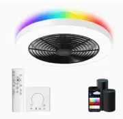 Smart LED Ceiling Fan with Lights, Flush Mount Enclosed Ceiling Fan, 20" RBGB