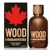 在飛比找遠傳friDay購物精選優惠-DSQUARED2 WOOD 天性男性淡香水 100ml