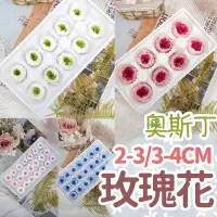 在飛比找蝦皮購物優惠-【24H台灣出貨】奧斯丁玫瑰花 永生花 奧斯丁 綠色 粉色 