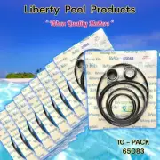 PHPF & PHPM PUMP QUALITY REPAIR BY LIBERTY 65083 FOR JANDY® GO-KIT83 10-PACK