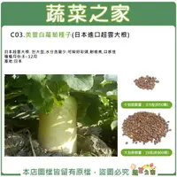 在飛比找樂天市場購物網優惠-【蔬菜之家】C03.美豐白蘿蔔 (日本進口超雲大根)種子(有