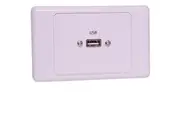 Dynalink USB Single Wallplate Dual Cover with Socket Flylead