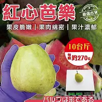 在飛比找Yahoo奇摩購物中心優惠-【天天果園】彰化溪洲草生栽培 紅心芭樂(10斤/箱)