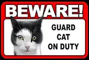 Beware Guard Cat on Duty Sign - Calico Cat